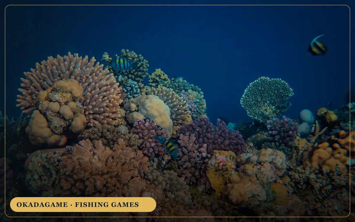 OKADAGAME fishing games – colourful reef fish underwater